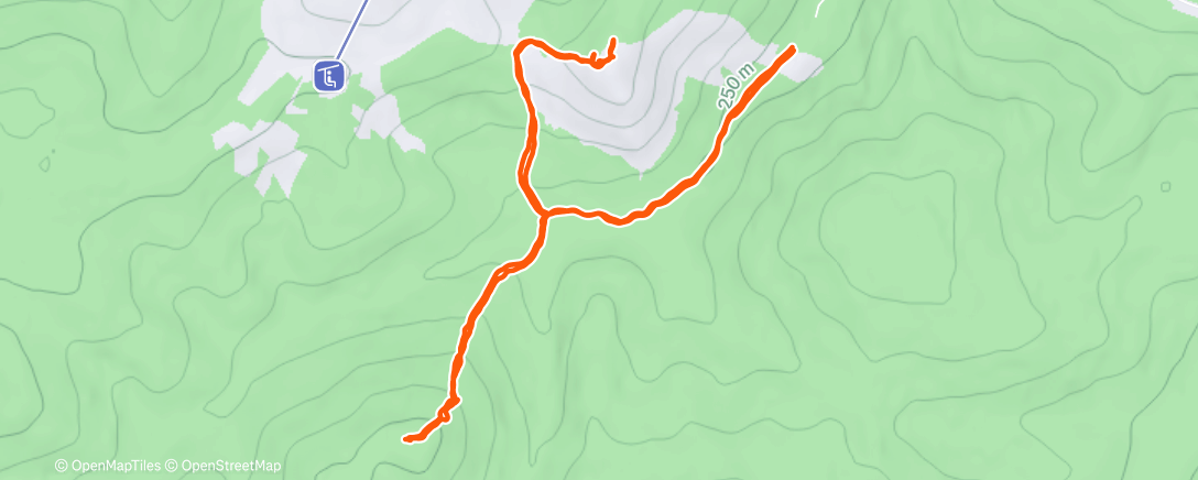 Map of the activity, Вечерний забег