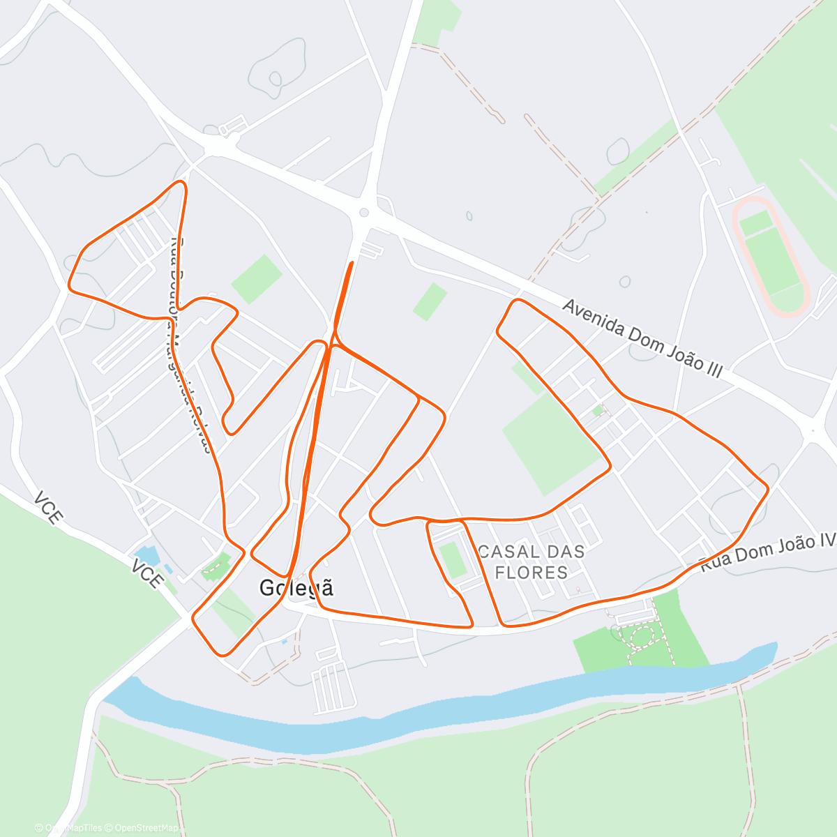 Map of the activity, 11.ª São Silvestre da Golegã 🏃🏻‍♂️🐎🐃😊