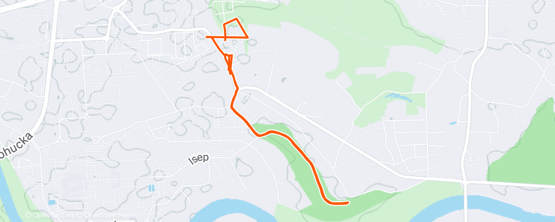 Карта физической активности (Afternoon Walk)