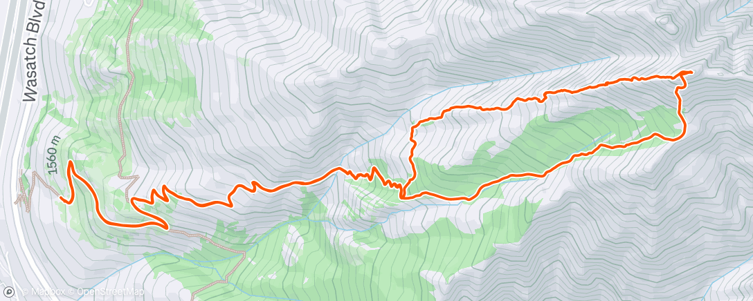 Map of the activity, Perty Geurty