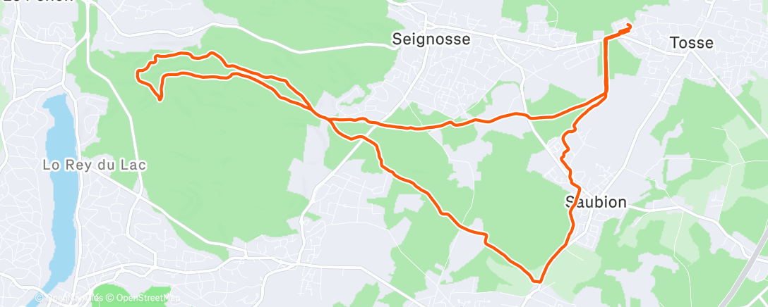 Map of the activity, Morning Trail Run