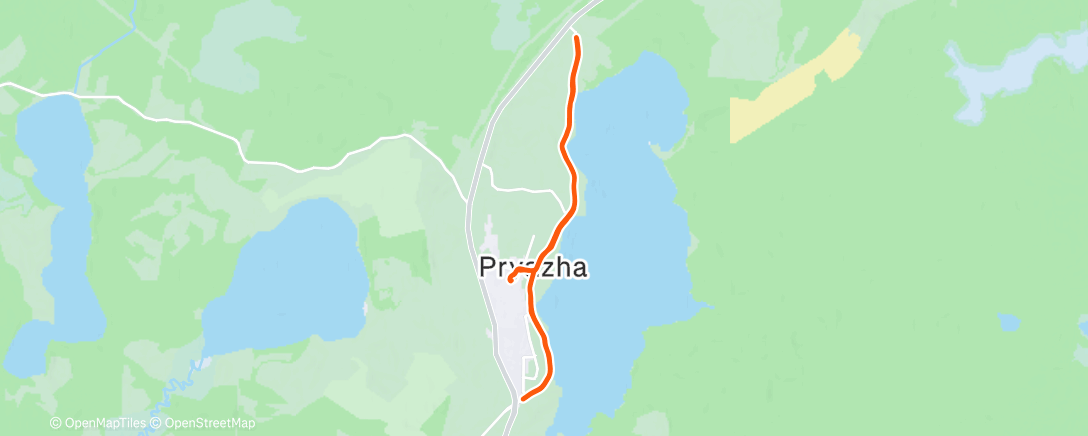 Карта физической активности (Morning Run)