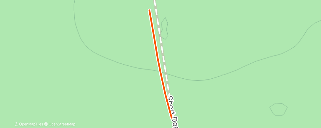 Карта физической активности (Lunch Nordic Ski)