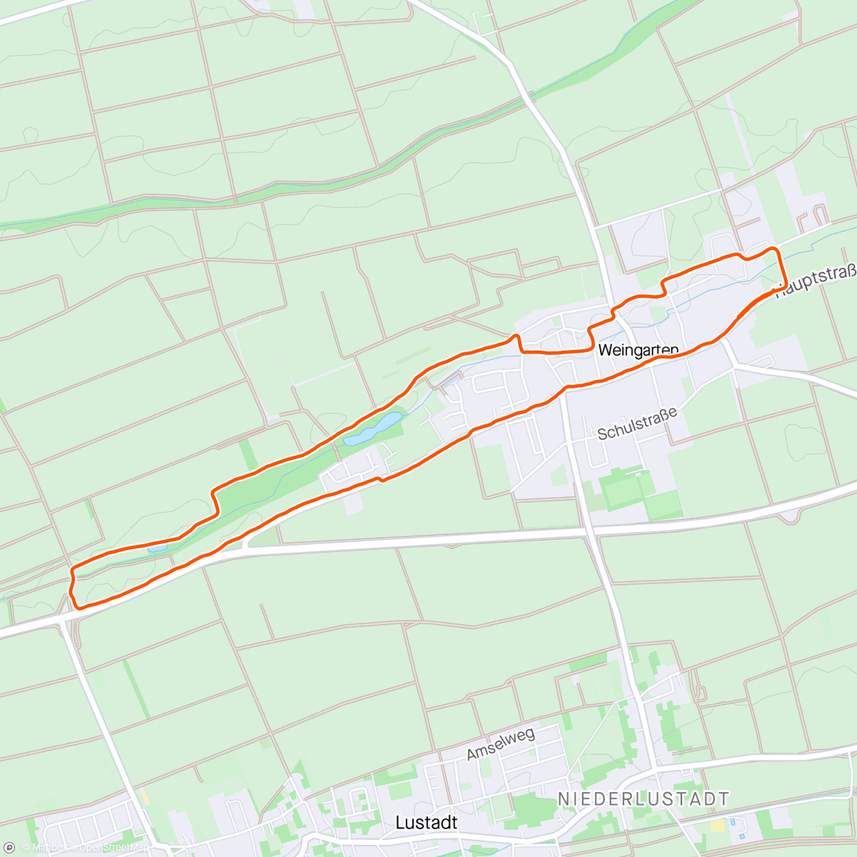 Map of the activity, Lauf am Sonntag
