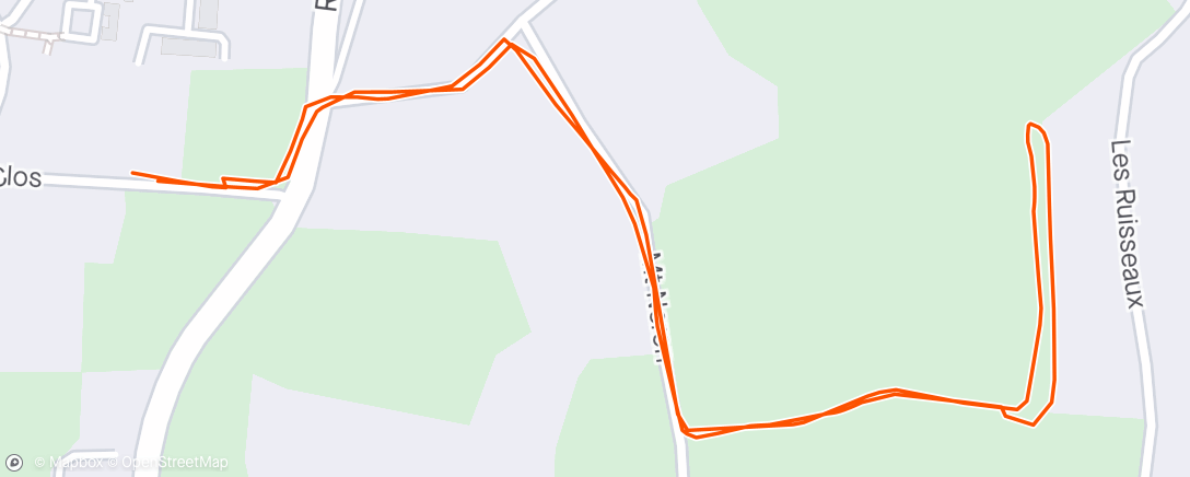 Map of the activity, Afternoon dog walk