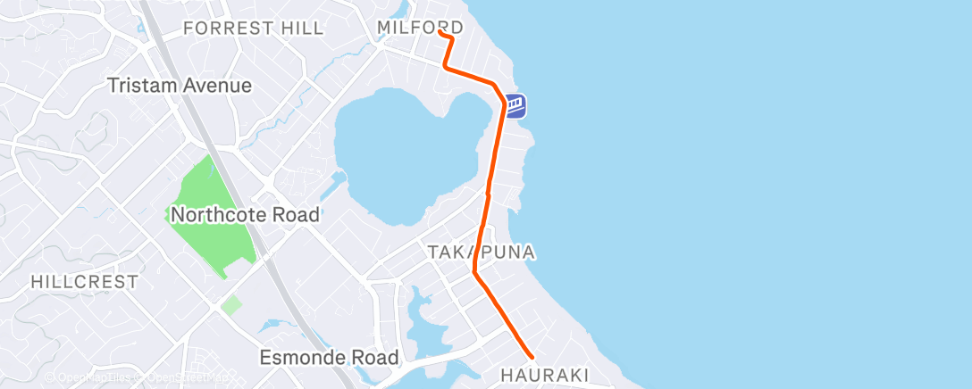 Map of the activity, Morning Run