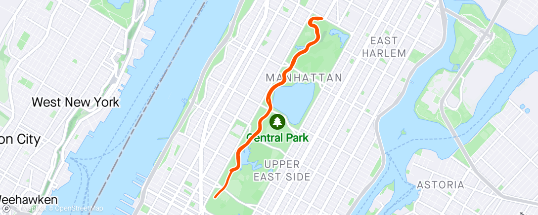 Map of the activity, When in NY you have to run through Central Park