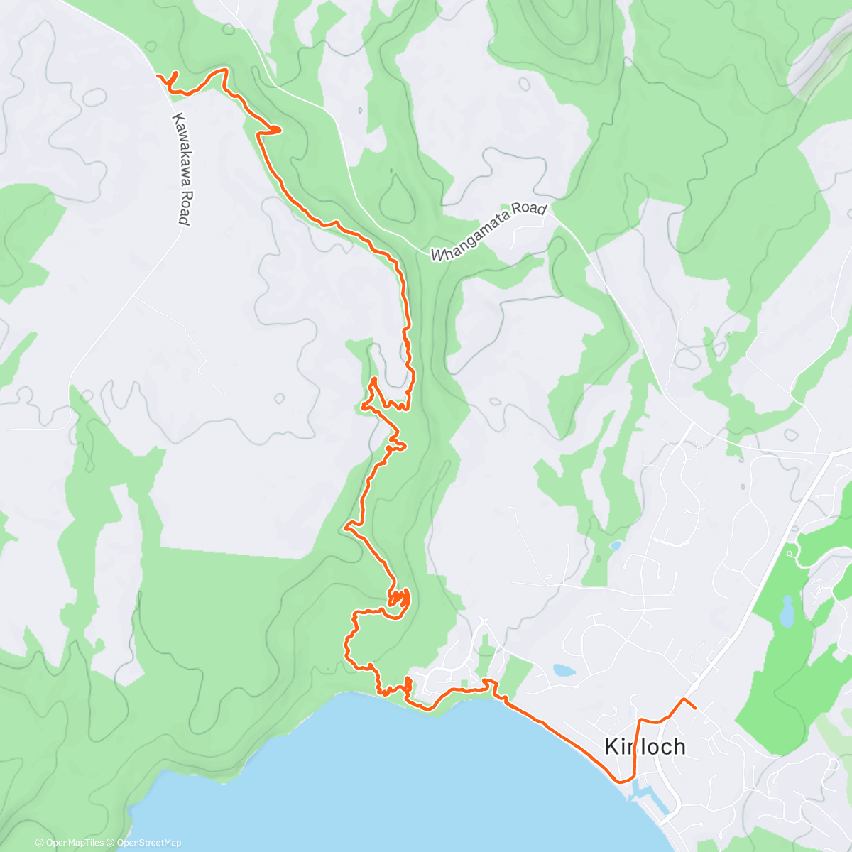 Map of the activity, Morning Run