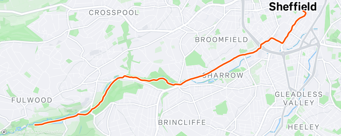 Map of the activity, Morning Run