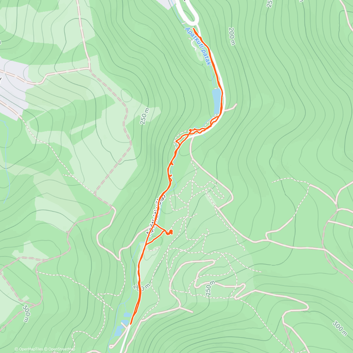 Карта физической активности (Morning Walk)