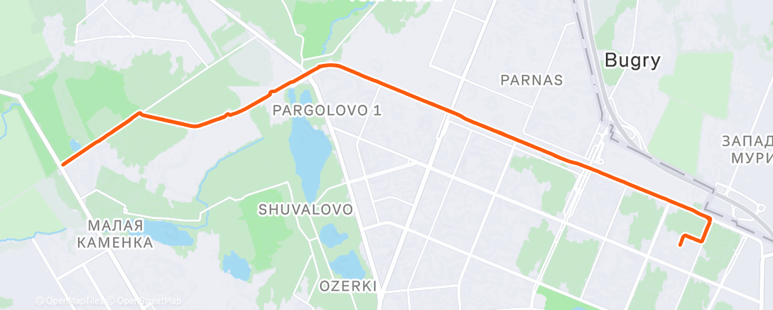 Карта физической активности (Morning Run)