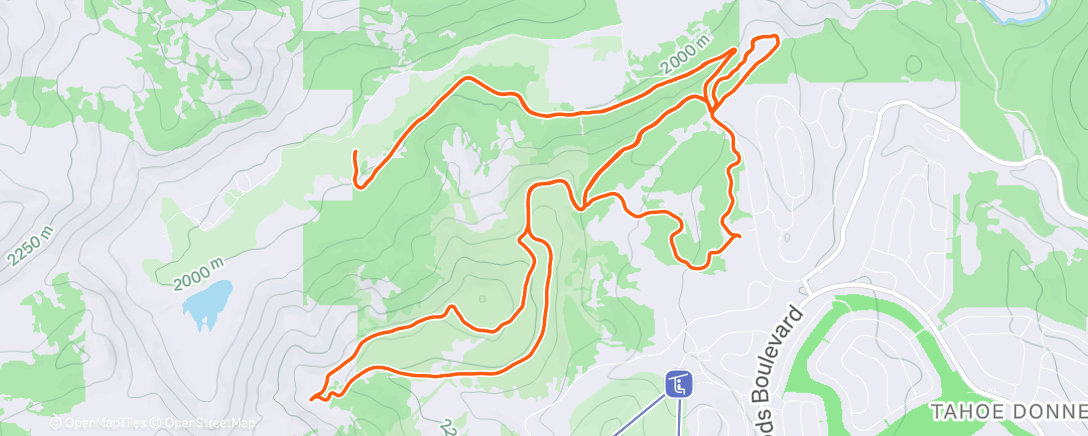 Карта физической активности (Morning Nordic Ski)