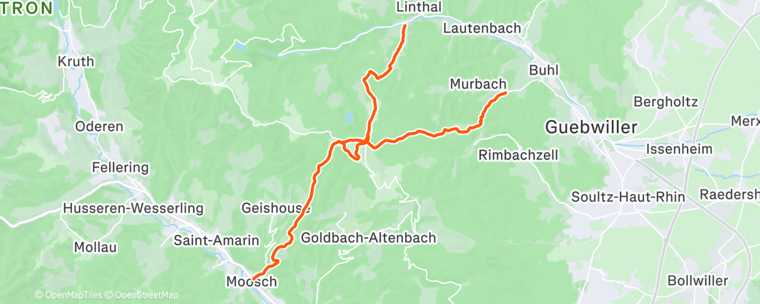 Карта физической активности (Afternoon Trail Run)