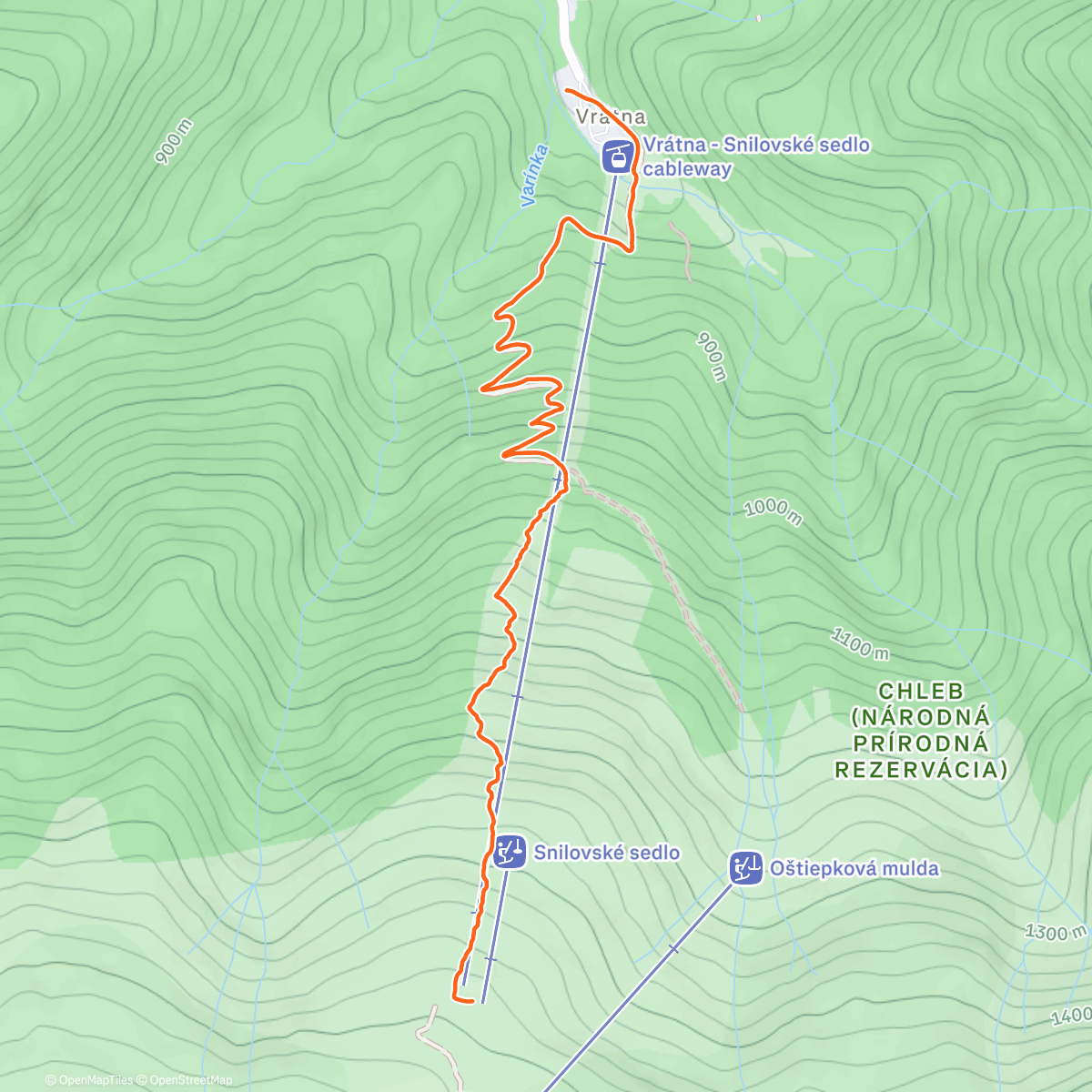 Карта физической активности (Morning Trail Run)