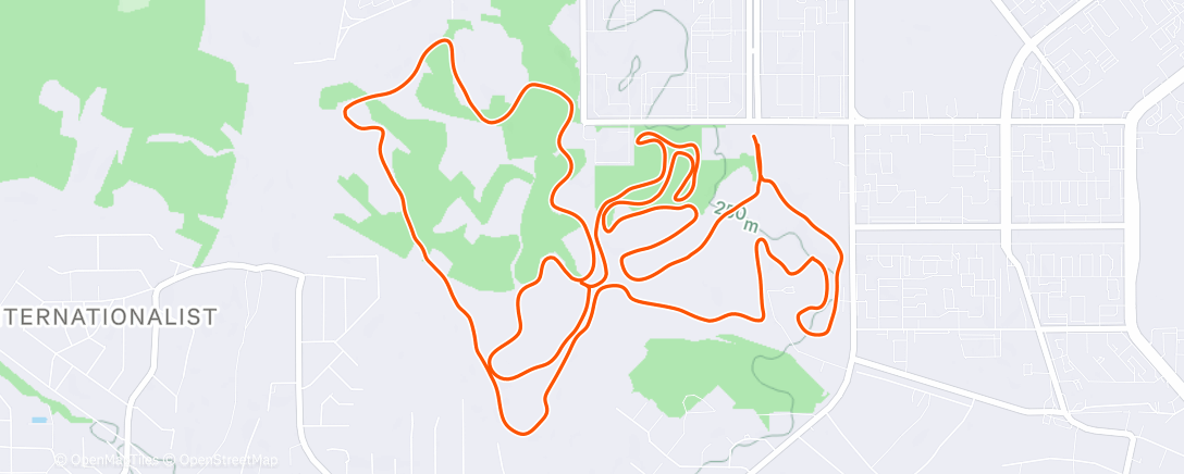 Карта физической активности (Северный лыжный заезд (после обеда))