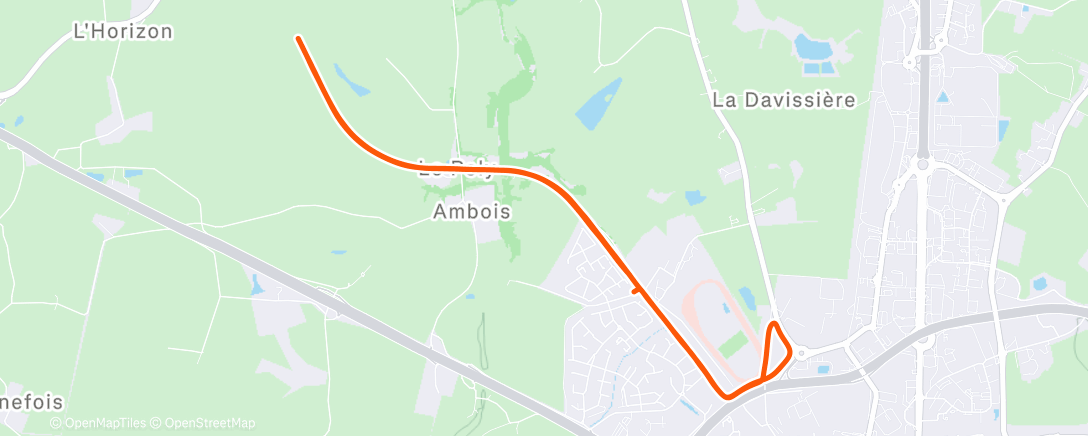 Карта физической активности (Lunch Run)