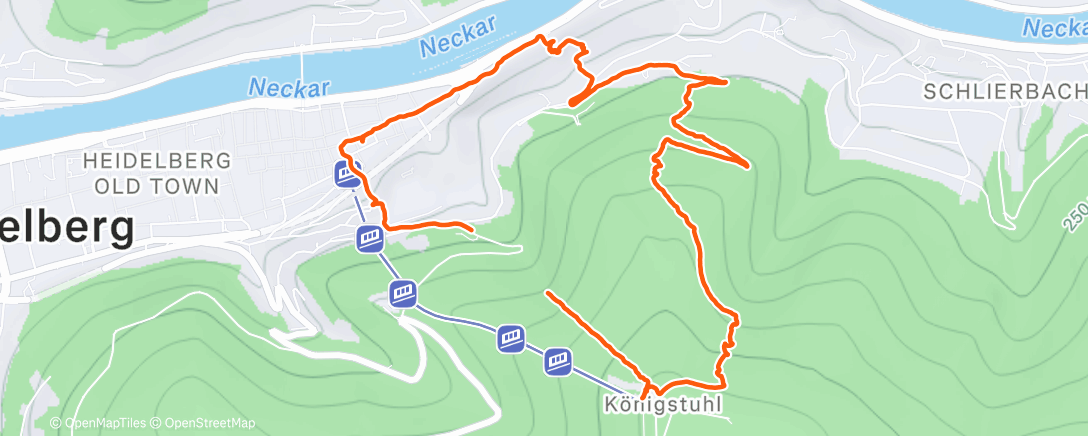 Map of the activity, Wanderung am Nachmittag