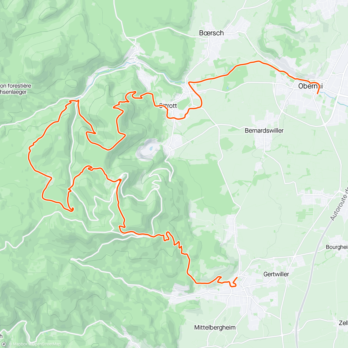 アクティビティ「Trail UTMB  des pèlerins de Barr à Obernai」の地図