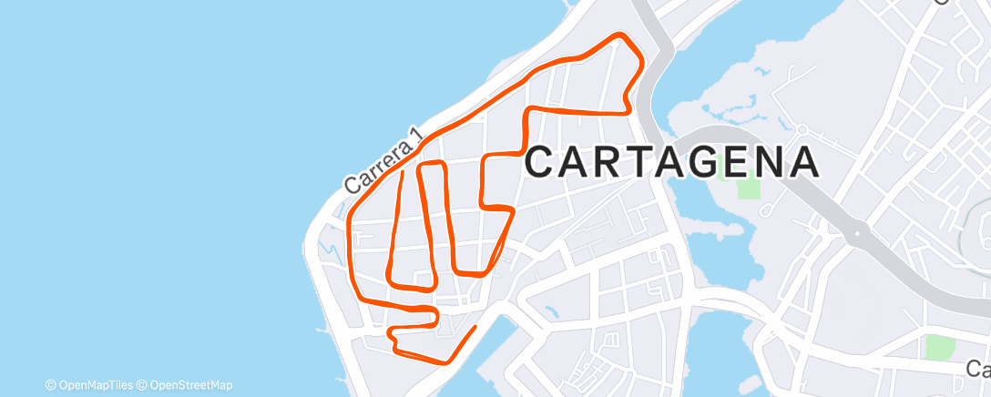 Map of the activity, Morning Run