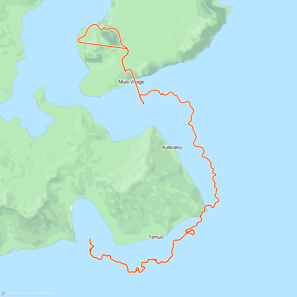 Map of the activity, Zwift - Pacer Group Ride: Watopia with The Ds