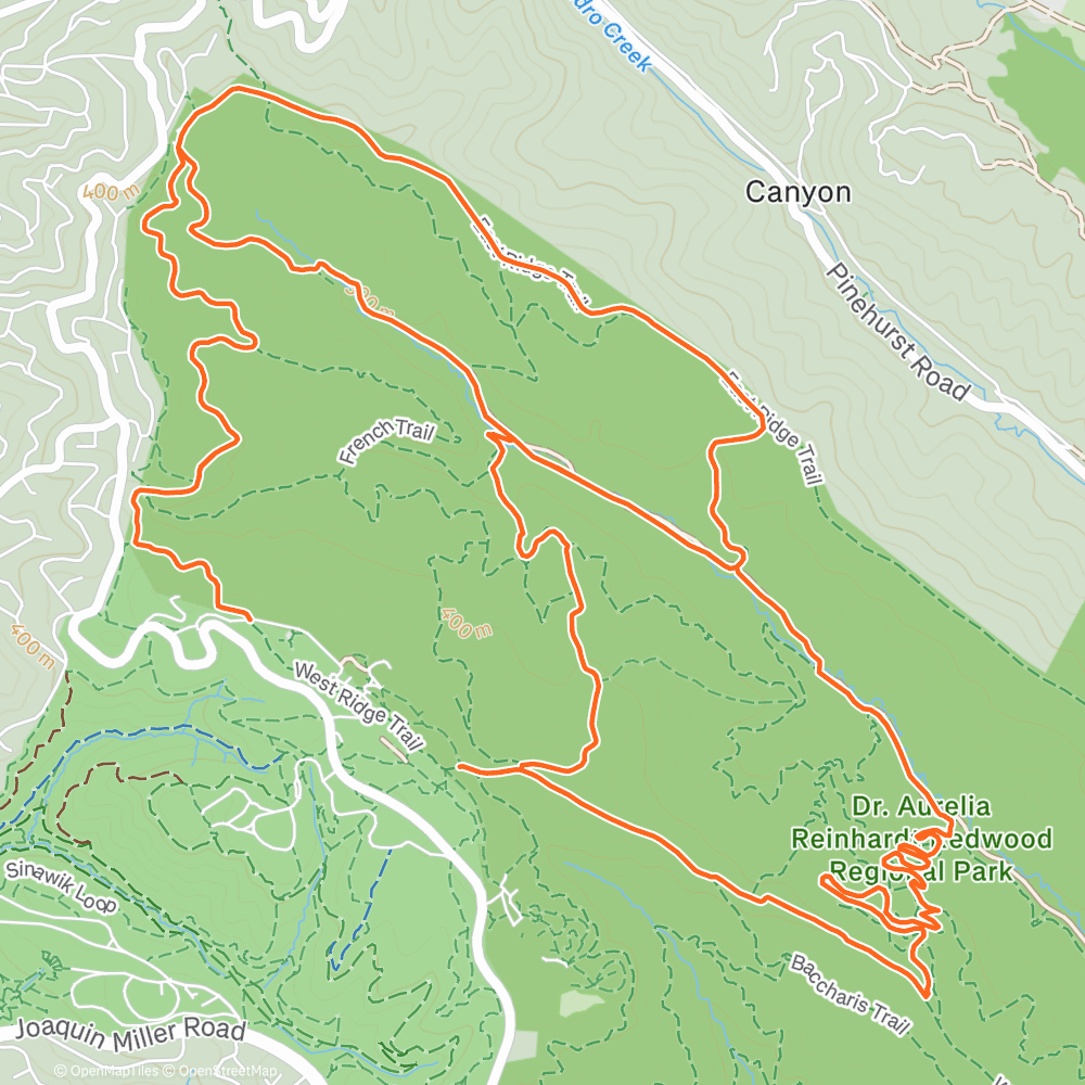 Map of the activity