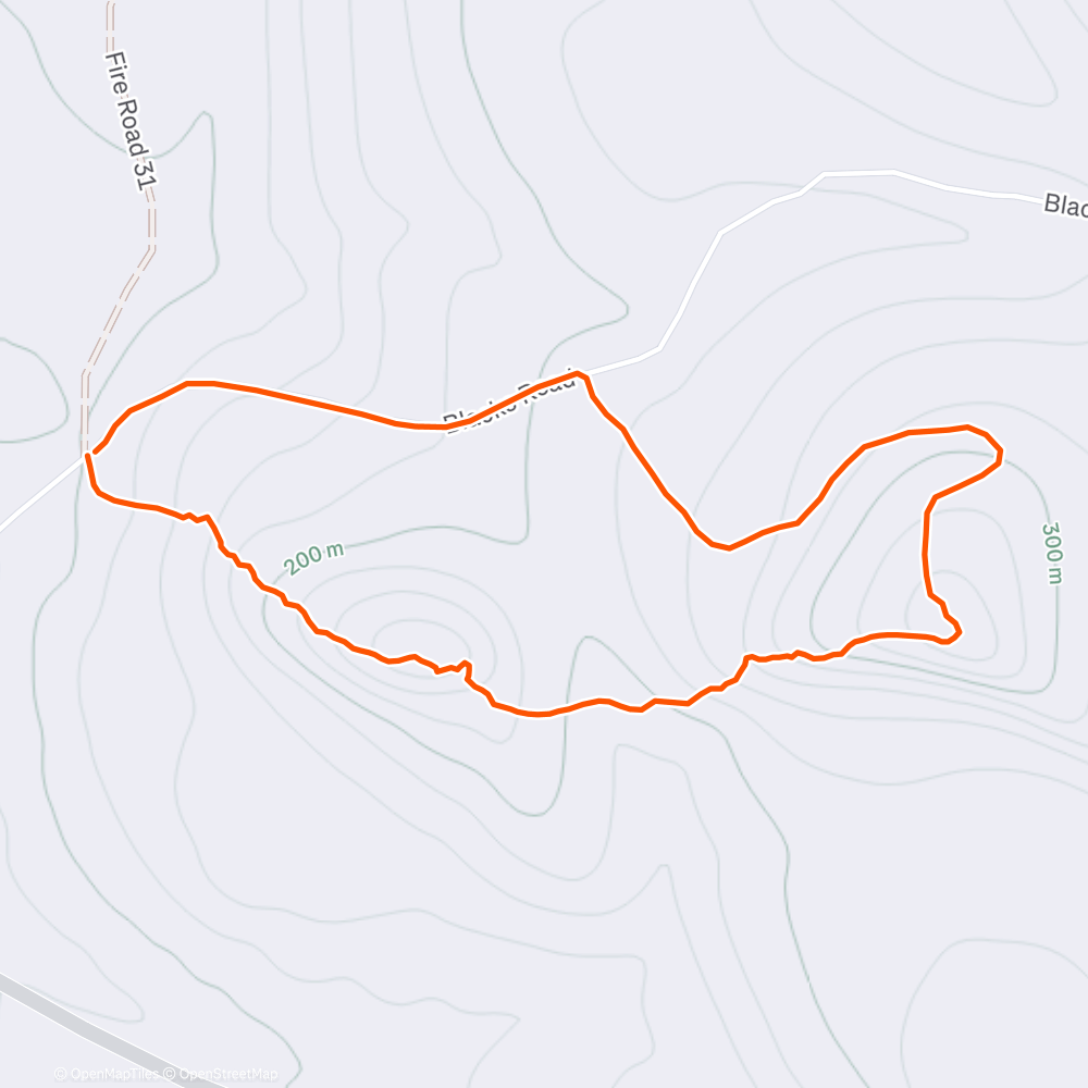 Map of the activity
