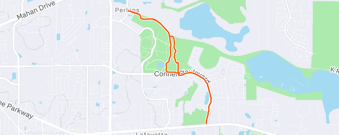 Map of the activity, Morning Run