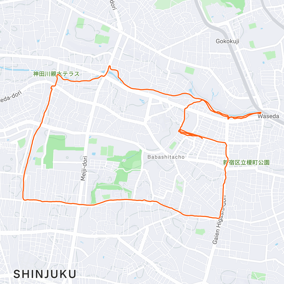 Карта физической активности (Morning Run)