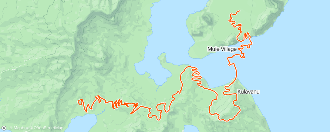 Карта физической активности (Zwift - Alpe du Zwift)