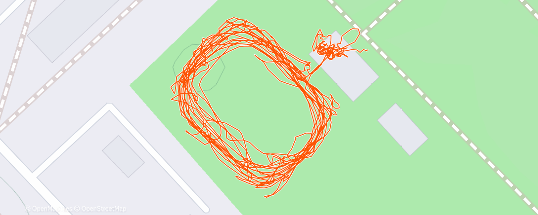 Карта физической активности (Катание на коньках (день))