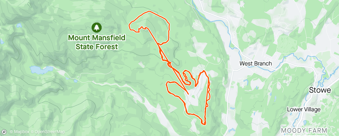 Map of the activity, Morning Run