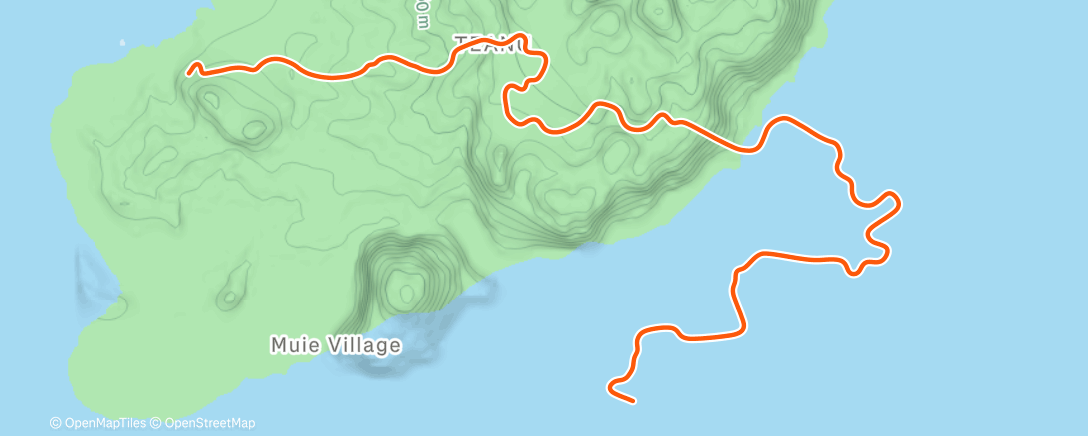Карта физической активности (Zwift - Wk14-EZ60 on Flat Out Fast in Watopia)