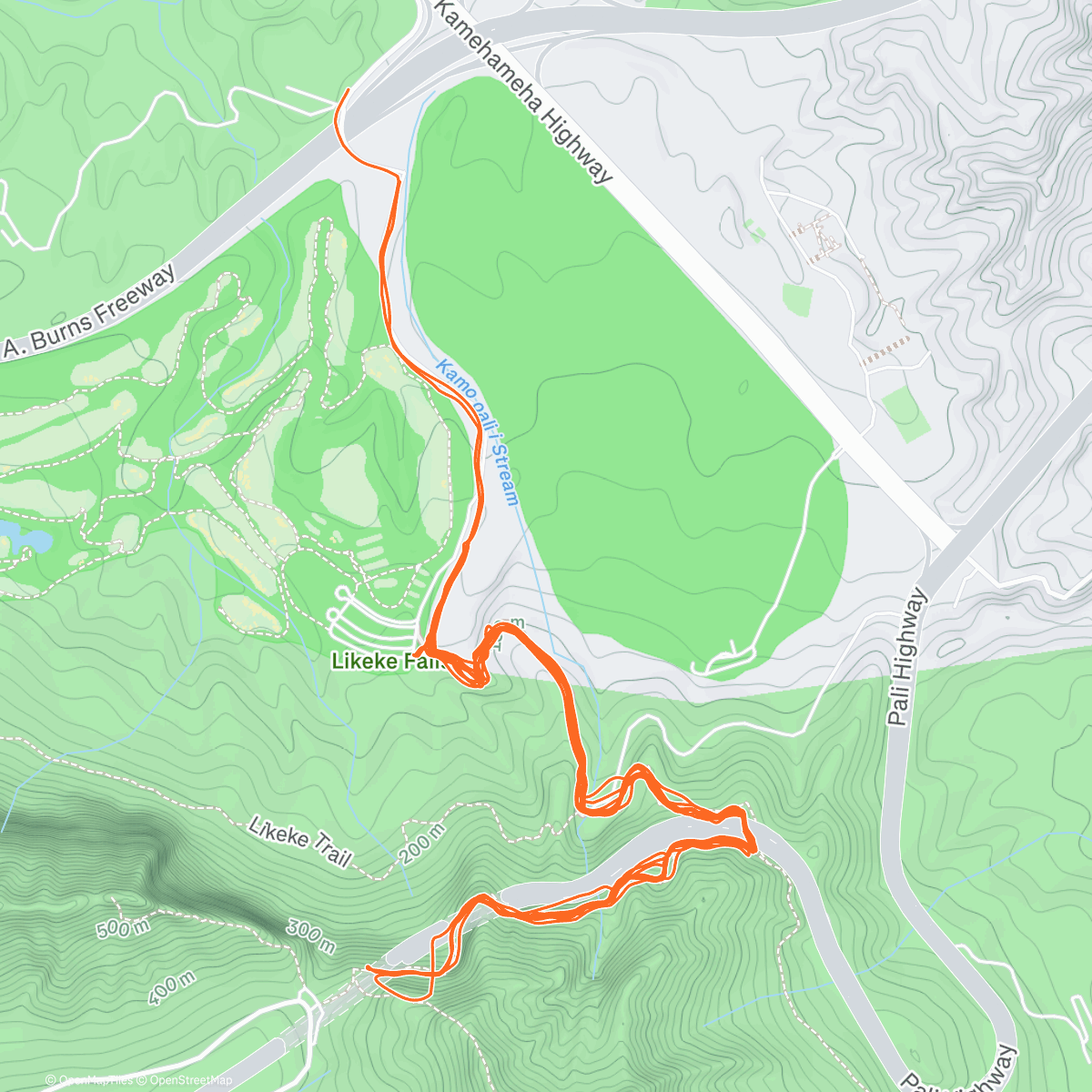 Карта физической активности (Old Pali)