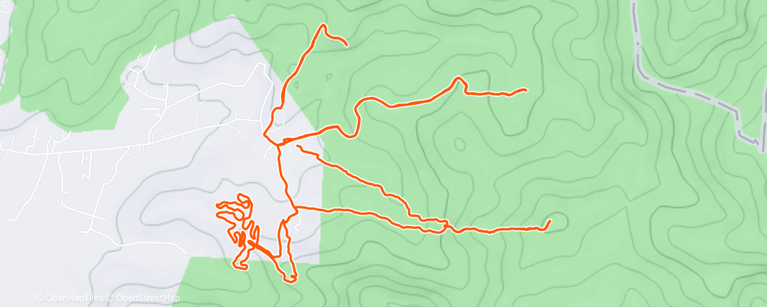 Map of the activity, Morning Trail Run