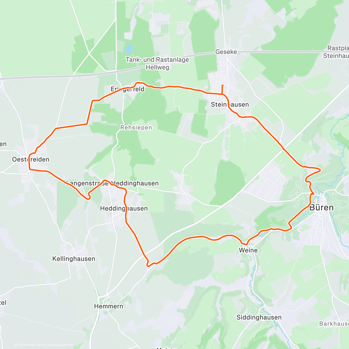 Карта физической активности (Lunch Ride ❄️🥶)