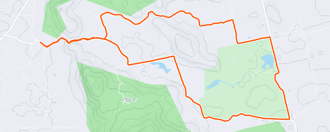 Карта физической активности (Lunch Run 🔥)