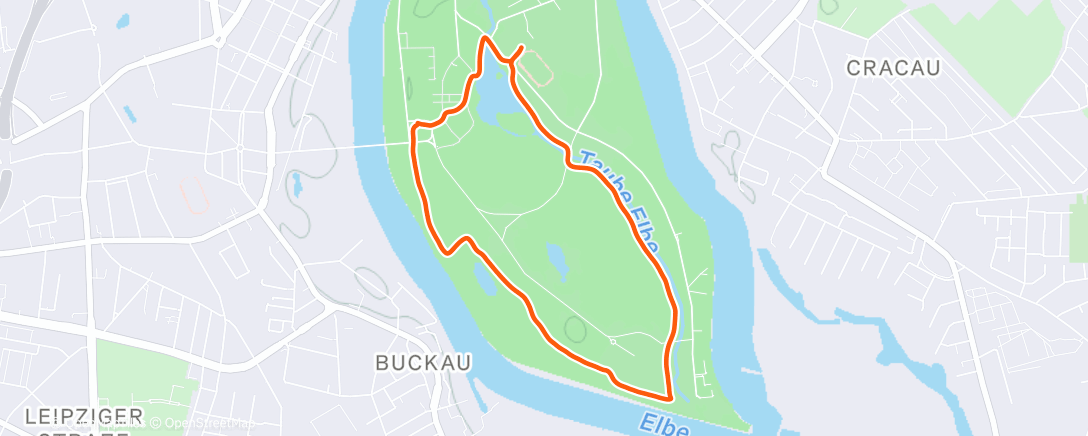 Карта физической активности (Afternoon Walk🌞🥶)