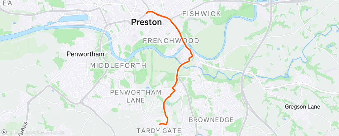 Map of the activity, Springy