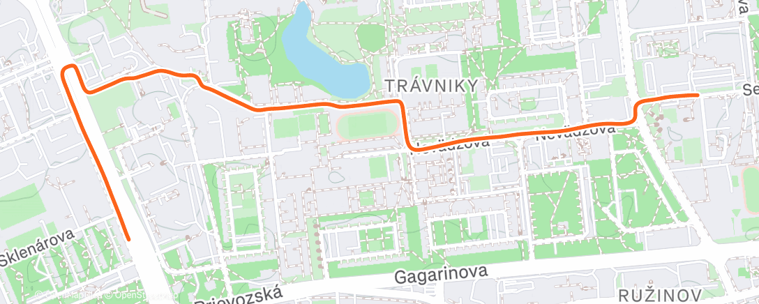 Карта физической активности (🐾)