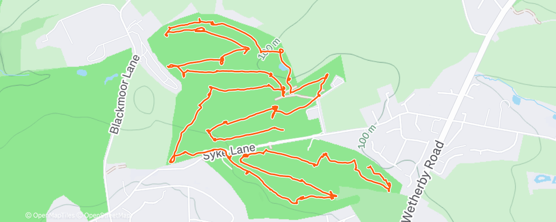 Карта физической активности (Lunch Walk)