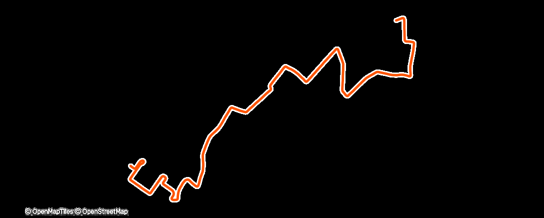 Карта физической активности (Morning Run)