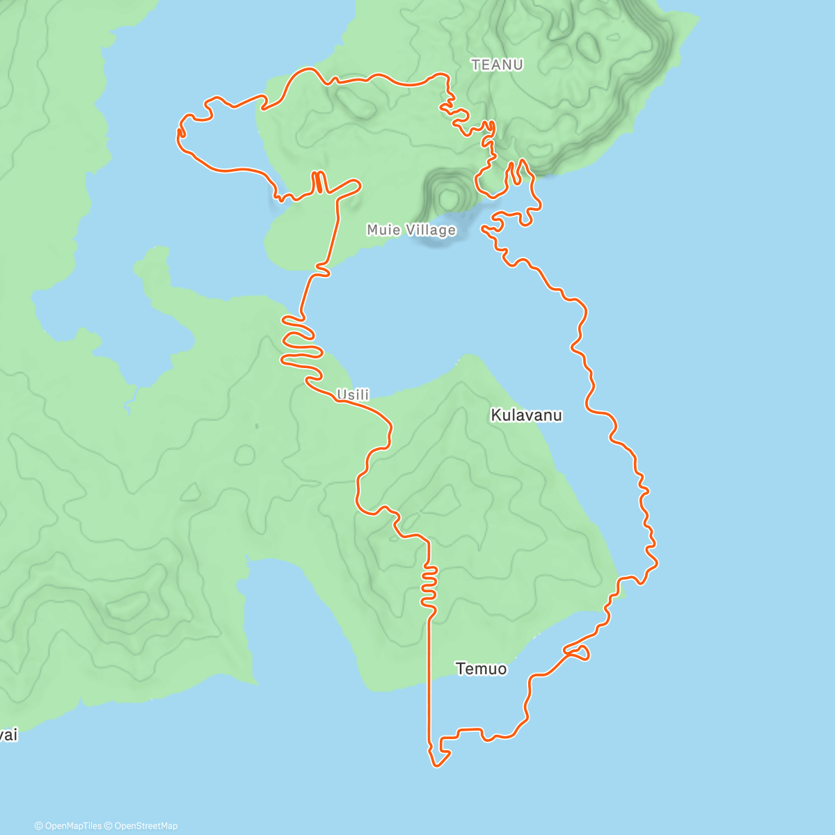 Map of the activity, 🦭🦭