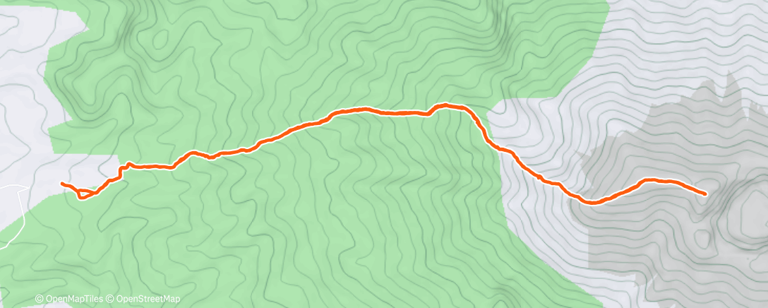 Карта физической активности (Morning Trail Run)