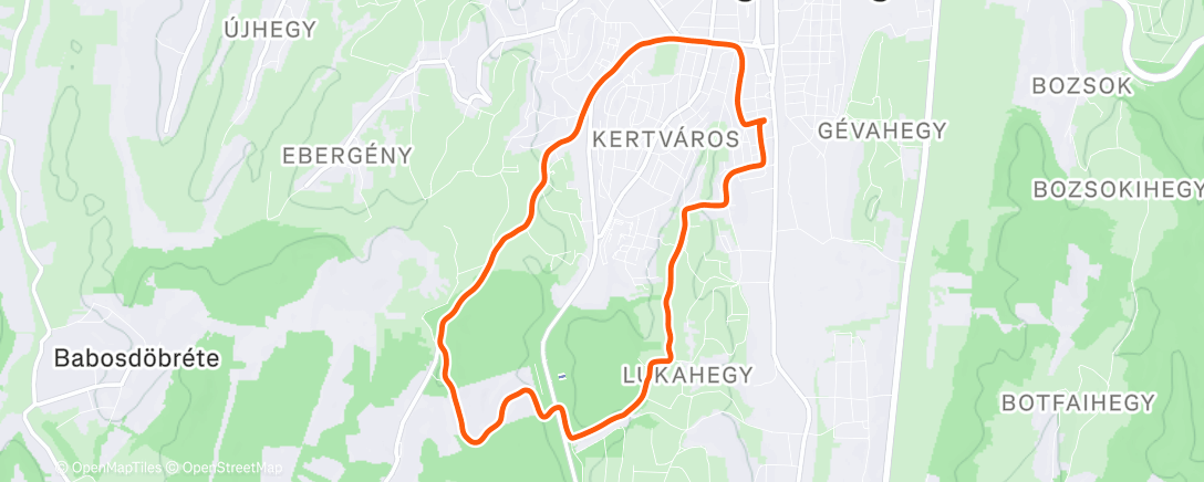 Map of the activity, Morning Run