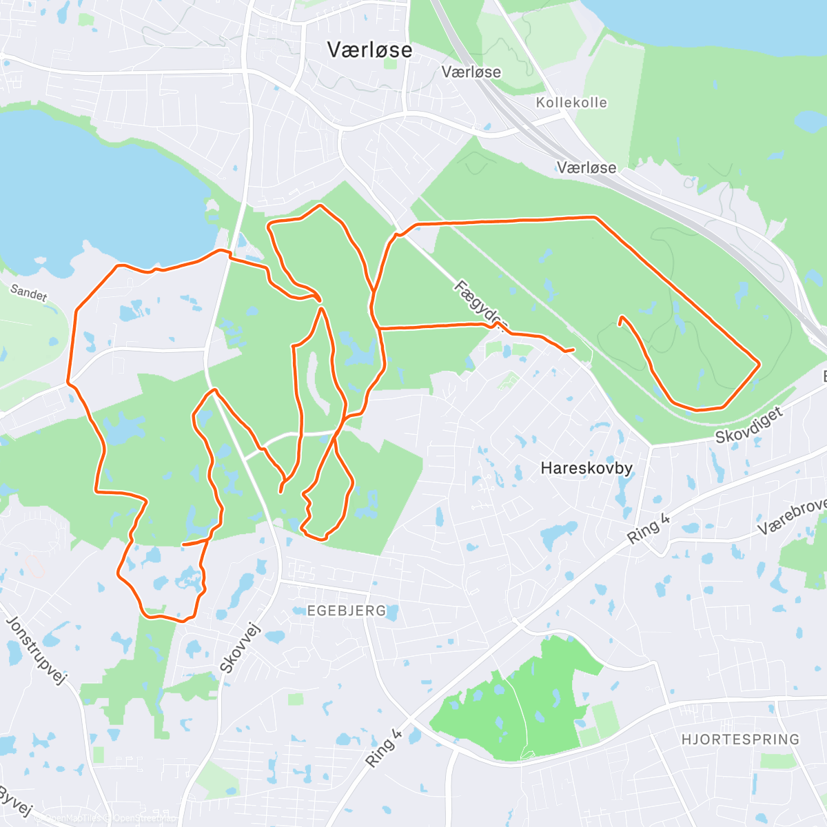 Map of the activity, Hareskov 🌲