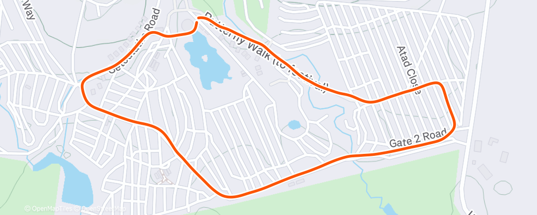 Карта физической активности (Morning Run)