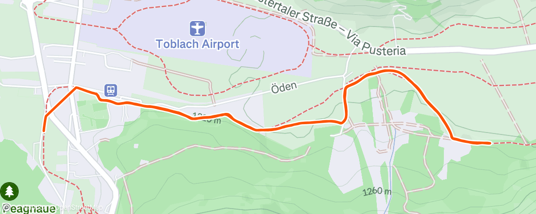 Карта физической активности (Morning Nordic Ski)