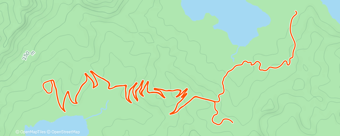 Map of the activity, Zwift - Race: Dream Bike Race - Alpe du Zwift (B) on Road to Sky in Watopia
