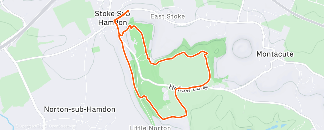 Карта физической активности (Evening Walk 🐶)