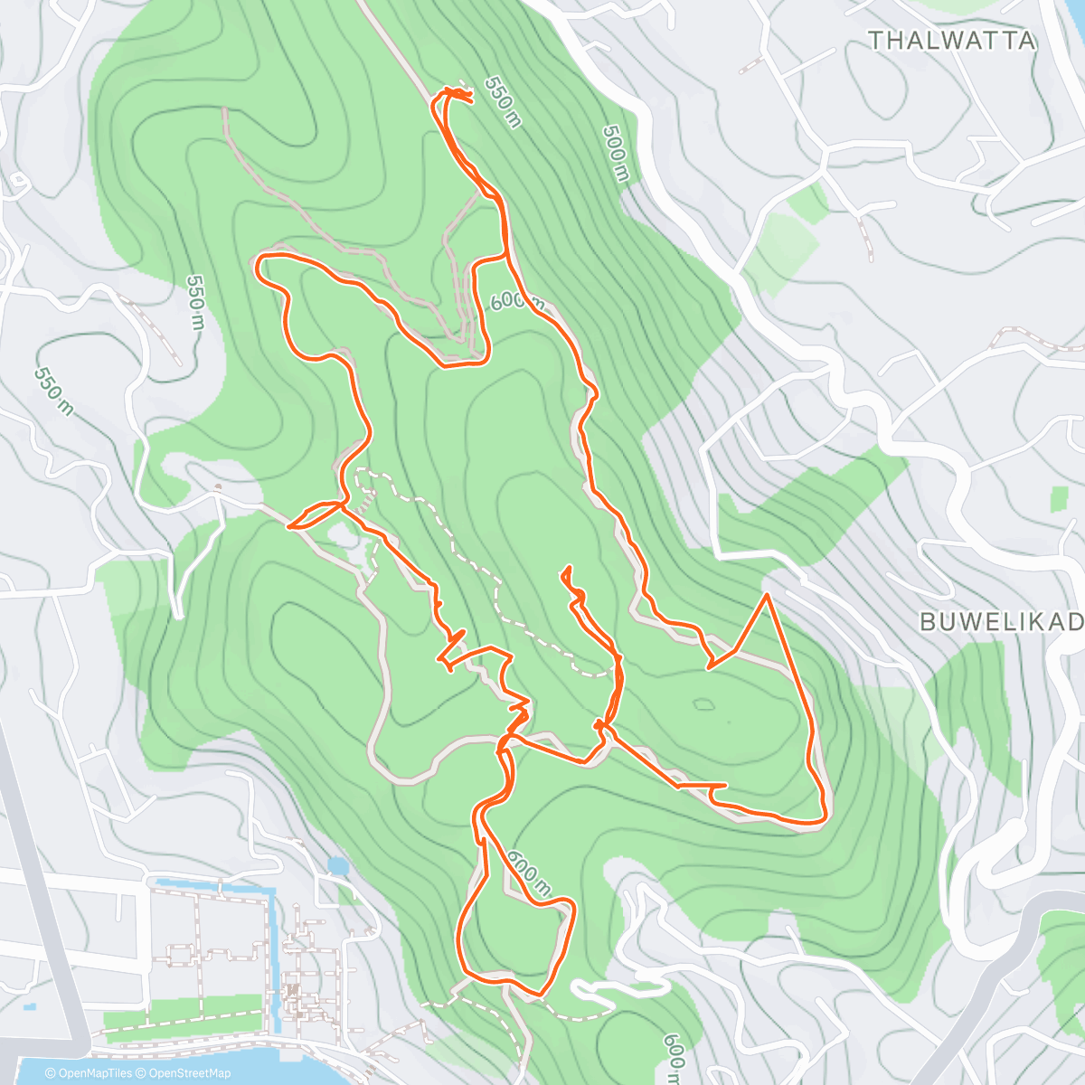 Map of the activity, Morning Walk